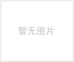 厂家直销脚底按摩器 足部理疗仪 足疗机 按摩器生产厂家